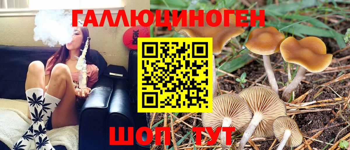 Псилоцибиновые грибы MAGIC MUSHROOMS Лыткарино